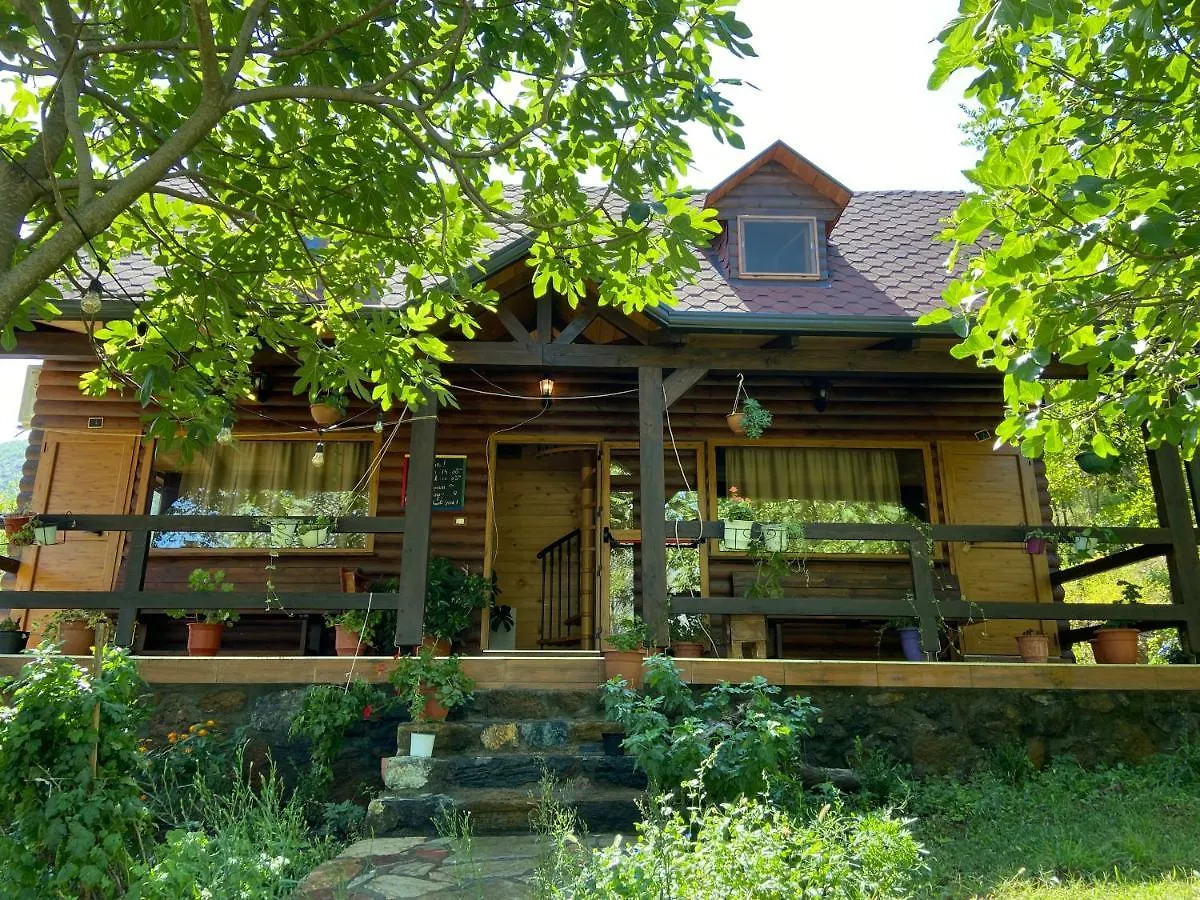 Agora Farmhouse Koman