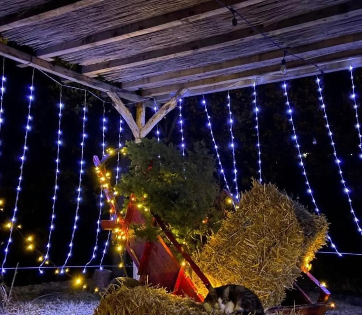 Pensión Agora Farmhouse Koman Albania